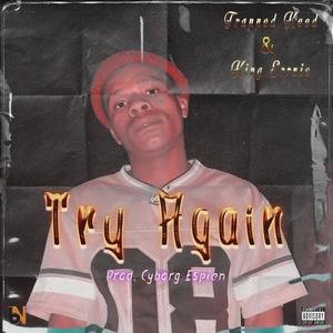 Try Again (feat. King Errnie) [Explicit]