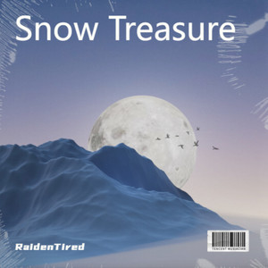 Snow Treasure