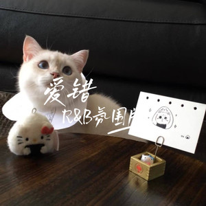 爱错 (R&B氛围版)封面