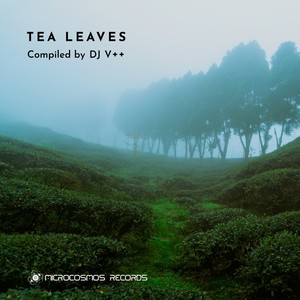 Tea Leaves