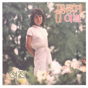 그리움만 쌓이네