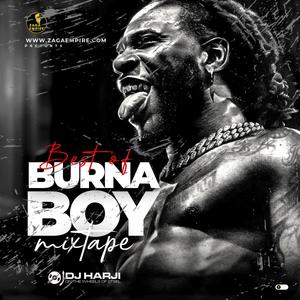 Best Of Burna Boy Mix (2022)