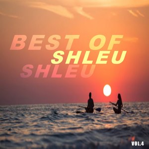 Best of shleu shleu (Vol.4)