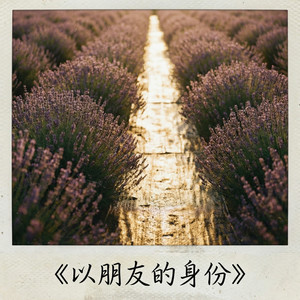 以朋友的身份 (民谣新版)