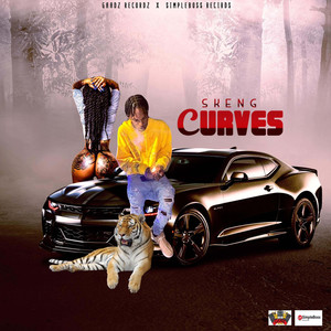 Curves (Explicit)