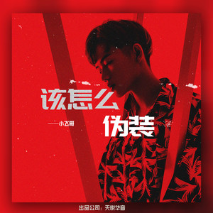 该怎么伪装
