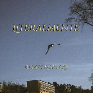 Literalmente (feat. Sig Qu) [Explicit]