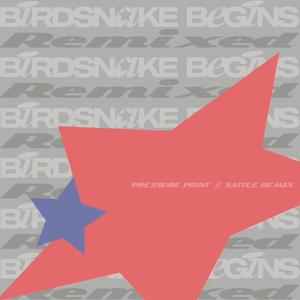 Pressure Point (Sattle Remix)