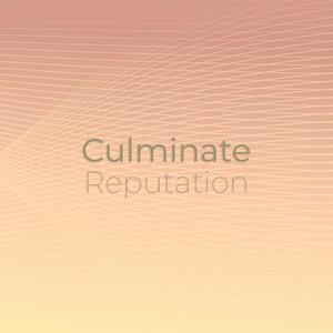 Culminate Reputation