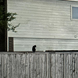 hug meh im cold (Explicit)