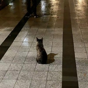 流浪 (Prod by Red Killer)