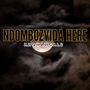 Ndombozvida Here