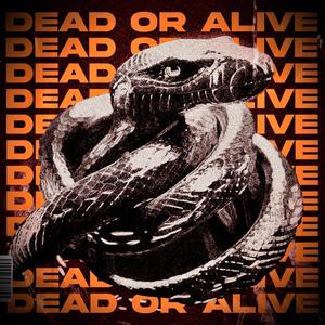 Dead Or Alive (feat. BENJAMINRICH) (V2) (Explicit)