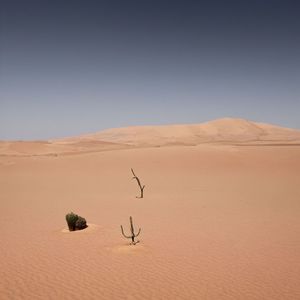 Phillip Müller - Autoreifen