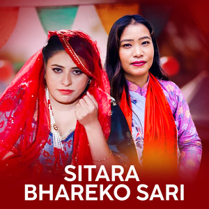 Sitara Bhareko Sari