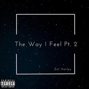 The Way I Feel, Pt. 2 (Explicit)