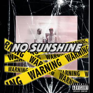 No Sunshine (feat. Rome2ks) [Explicit]