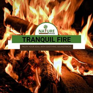 Tranquil Fire - Pacify Your Soul With Soothing Soundtracks