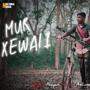 Mur Xewali
