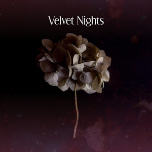 Velvet Nights