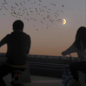 最好的我 (我明白要你爱是荒谬的要求)