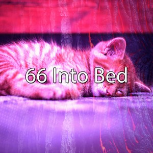 Slumbering Nights