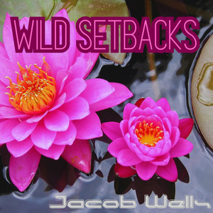 Wild Setbacks