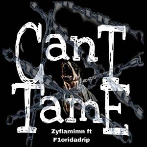 Can't Tame (feat. f1ordiadrip) (Explicit)