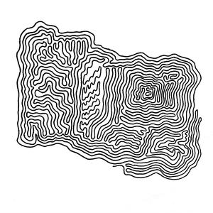 WHAT IT IS (feat. Ben Goldstein & Bennett Garvey)