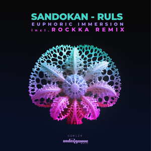 Euphoric Immersion (Rockka Remix)