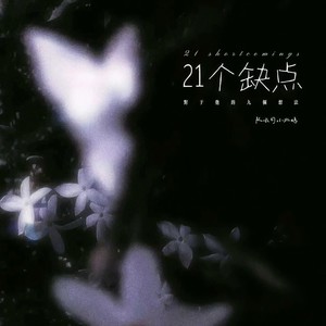 21个缺点 (对于他的九个想法)