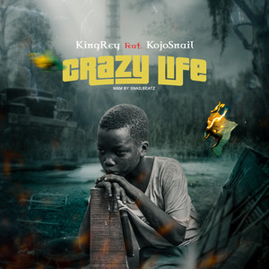 Crazy Life (Explicit)