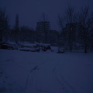 Alone