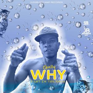 Why D cat in the rain (feat. Gully Musiq)