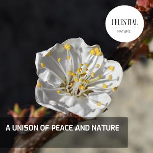 A Unison of Peace And Nature