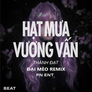 Hạt Mưa Vương Vấn (Beat Đại Mèo Remix)