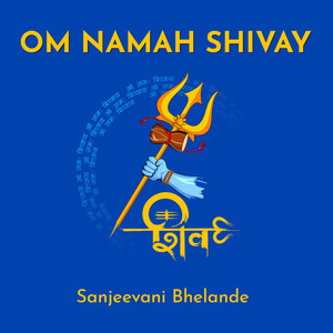 Om Namah Shivay