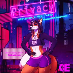 Privacy (Explicit)