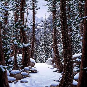 SnoStorm Weather (Explicit)