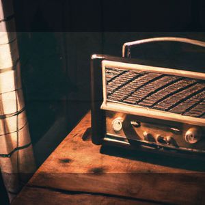 Cotton Melodies in Waffle Knit