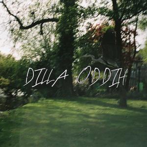 DILLA ODDIH (feat. Žena)