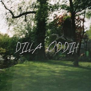 DILLA ODDIH (feat. Žena)