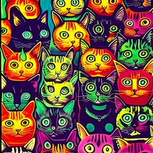 all cats are beautiful