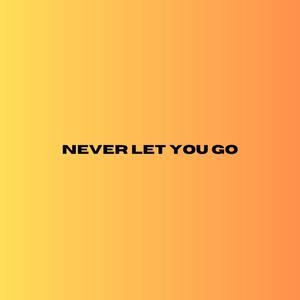 Never Let You Go (Acoustic)