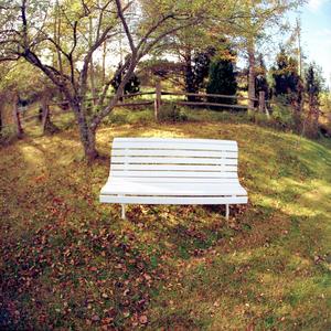 Autumn News (feat. Goran Gora)