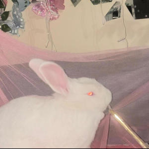 glimpses (iPhone Cover)