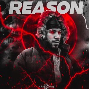 Reason (Explicit)