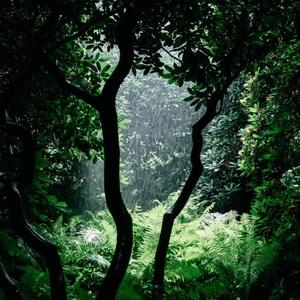 Tropical Canopy (feat. Axian, Plusma, Toonorth & Psalm Trees)