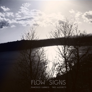 Flow Signs