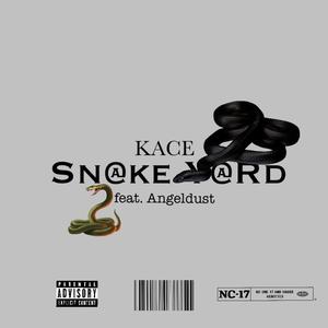 Snake YaRd (feat. Kevin Hues & KaCe the producer) [Explicit]